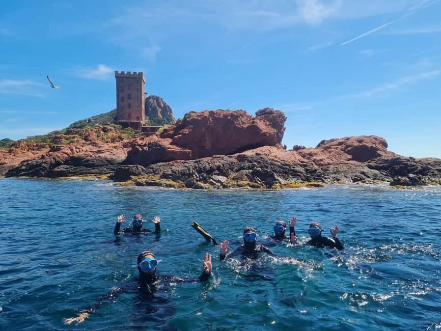 Frejus: Snorkling Experience In Port Frejus - What to Expect From Your Snorkeling Tour