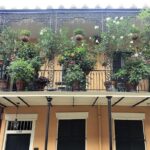 French Quarter Historical Sights and Stories Walking Tour - A Detailed Look at the French Quarter Sights and Stories Tour