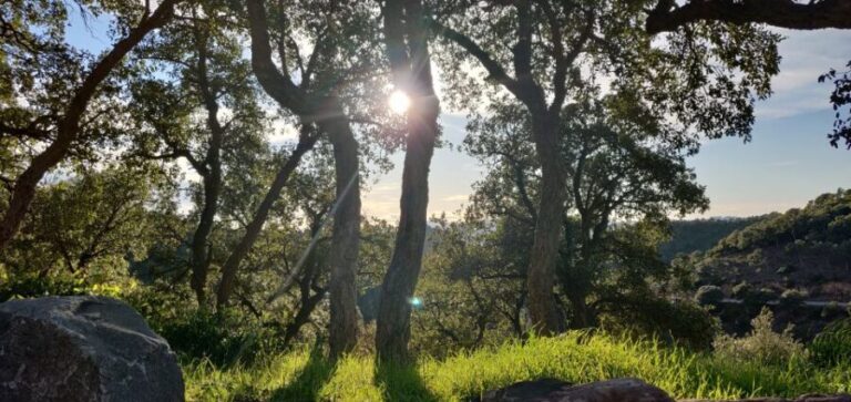 French Riviera : highlights & off the beaten path - The Itinerary in Detail