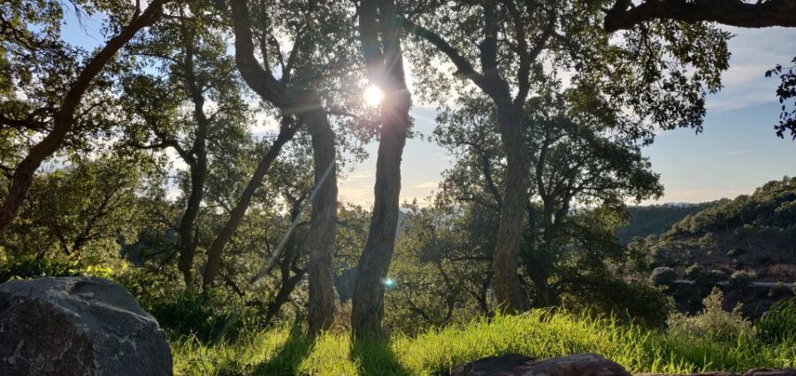 French Riviera : highlights & off the beaten path - The Itinerary in Detail