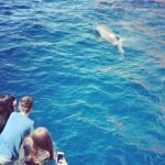 Friendly getaway to the Calanques of Piana from Cargèse - The Itinerary: What to Expect