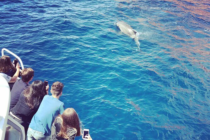 Friendly getaway to the Calanques of Piana from Cargèse - The Itinerary: What to Expect