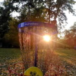 Frisbee golf / disc golf: Fun and games in a beautiful park in Leipzig - Practical Details and Tips