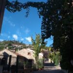From Abano Montegrotto Tour to Arquà Petrarca medieval village - What the Reviews Say
