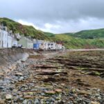 From Aberdeen: Coastal Villages of Aberdeenshire Tour - What the Tour Offers