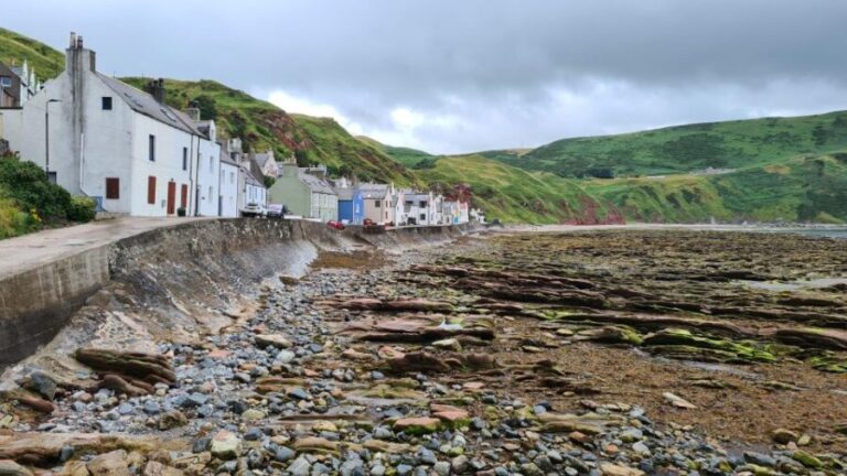 From Aberdeen: Coastal Villages of Aberdeenshire Tour - What the Tour Offers
