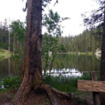 From abljak: Durmitor National Park Private Hiking Tour - The Experience in Context