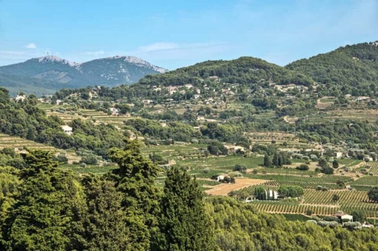 From Aix en Provence: Bandol & Cassis Full-day Wine Tour - The Sum Up