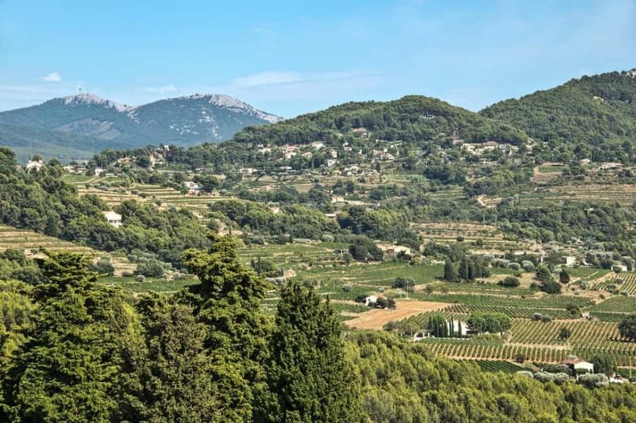 From Aix en Provence: Bandol & Cassis Full-day Wine Tour - The Sum Up