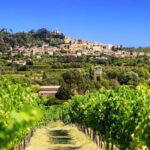 From Aix-en-Provence: Half-Day Wine Tour - Exploring the Details of the Experience
