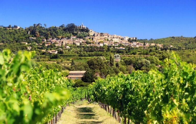 From Aix-en-Provence: Half-Day Wine Tour - Exploring the Details of the Experience