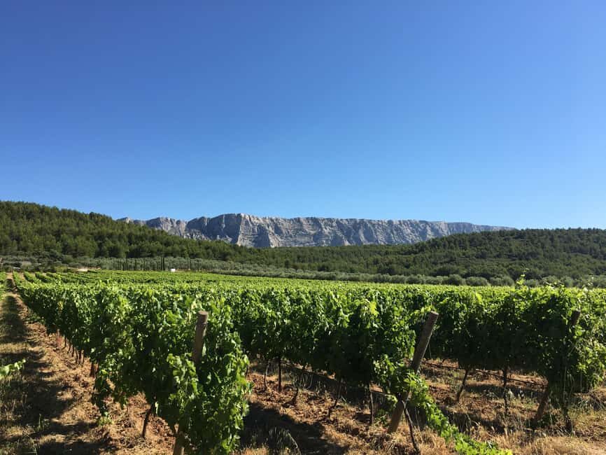 From Aix en Provence: Half-day Wine Tour in Provence - Transportation and Group Size
