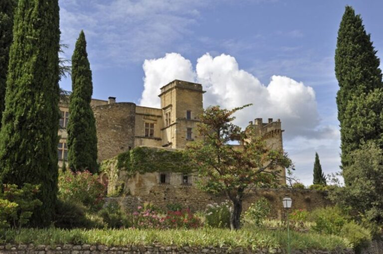 From Aix en Provence: Luberon Villages Full-Day Guided Tour - What’s Included and What’s Not