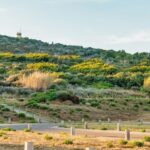 From Ajaccio/Porticcio:Ajaccio & Sanguinaires Gulf Boat Tour - What to Expect and Practical Considerations