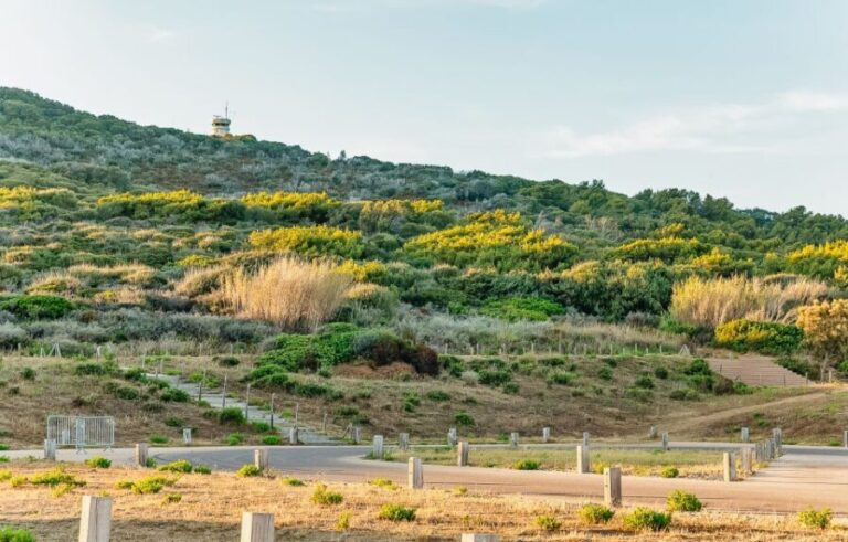 From Ajaccio/Porticcio:Ajaccio & Sanguinaires Gulf Boat Tour - What to Expect and Practical Considerations