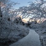 From Akureyri: Godafoss and Lake Myvatn - Optional: Relax in the Nature Baths