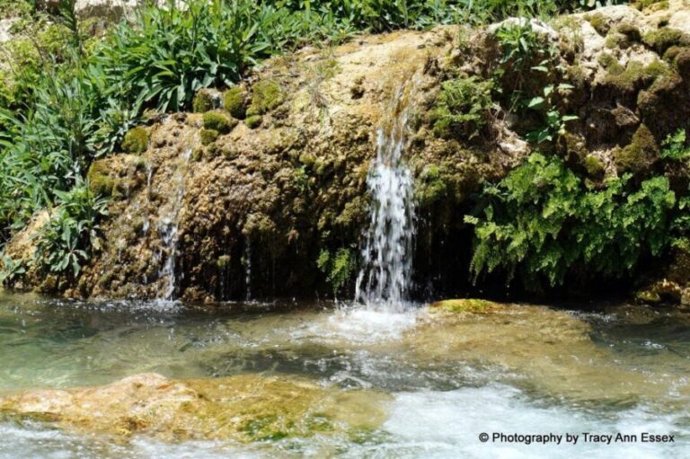 From Albir, Altea, Benidorm & Calpe: Guadalest & Algar Tour - What Travelers Say: Honest Feedback