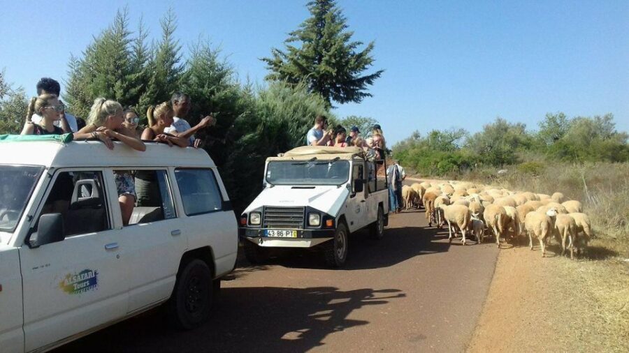 From Albufeira: 4x4 Off-Road Safari & Vineyard Wine Tasting - Why This Tour Is a Great Choice