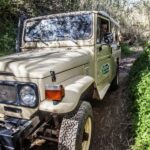 From Albufeira: Algarve Sunset Jeep Tour with Tastings - The Practicalities: Price, Duration, and Whats Included