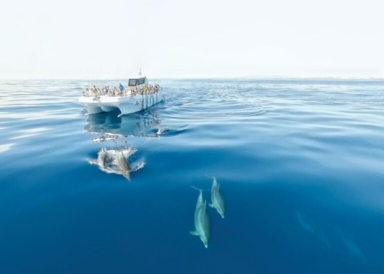 From Albufeira: Dolphins and Caves 2.5-Hour Boat Trip - Practical Details: Booking, Duration, and Cost