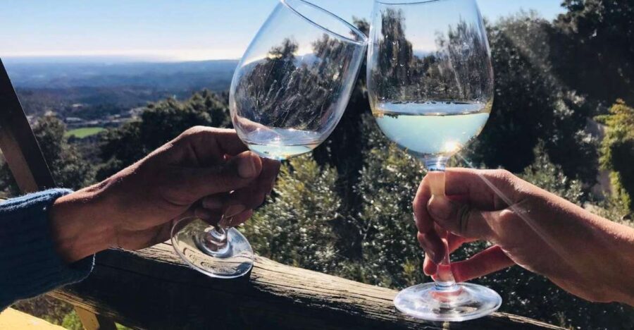 From Albufeira: Full-Day Wine Tasting Tour with a Guide - What Makes This Tour Stand Out?