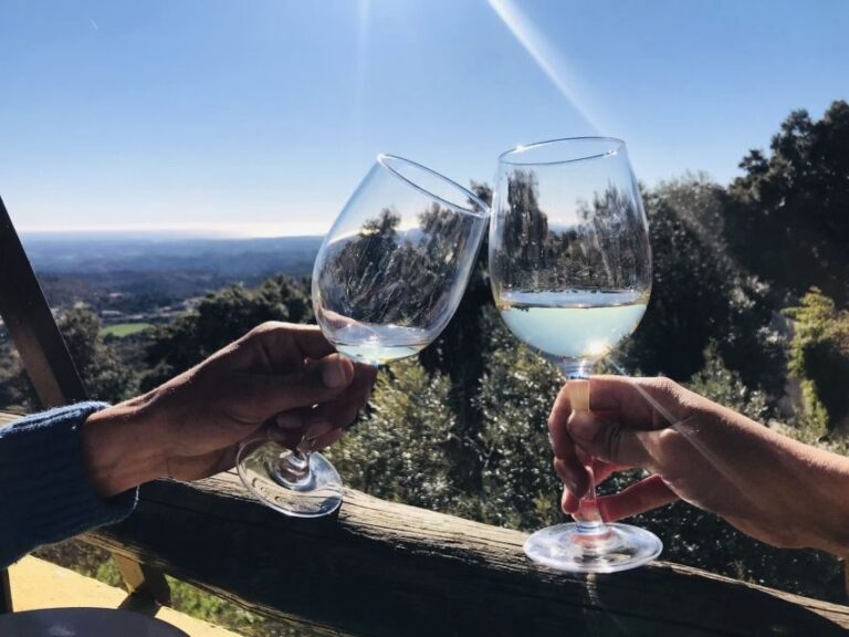 From Albufeira: Half-Day Winery Tour and Silves - The Pickup & Transportation