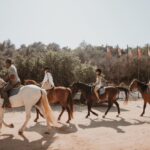 From Albufeira: Horse Riding Tour with Pickup - Who Is This Tour Best Suited For?