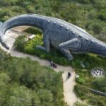 From Alcúdia: Dinosaurland and Hams' Caves Half-Day Trip - The Experience in More Detail