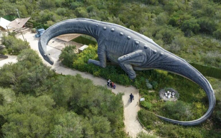 From Alcúdia: Dinosaurland and Hams' Caves Half-Day Trip - The Experience in More Detail