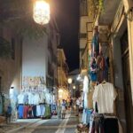 From Almuñécar: Granada Day Trip with Alhambra and Cathedral - Who This Tour Is Best For