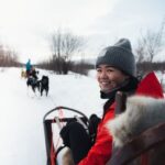 From Alta: Huskey Dog Sledding Tour - The Experience at the Husky Farm