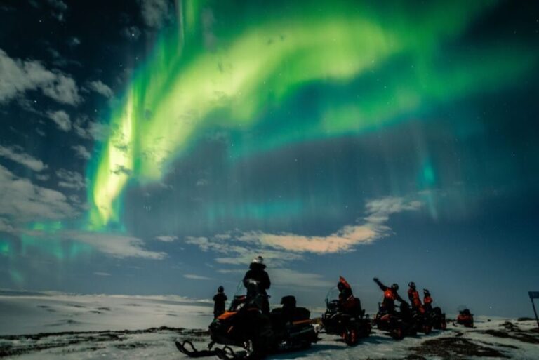 From Alta: Northern Lights Night Adventure By Snowmobile - Cost and Value