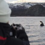 From Alta: Small group Whale watching - Who Is This Tour Best For?