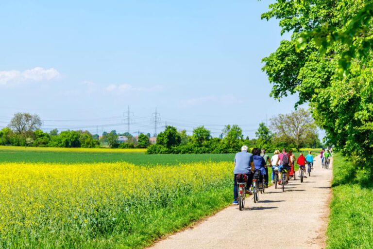 From Amsterdam: Countryside Bike Tour with Cheese Tasting - Practical Tips for Your Day Out