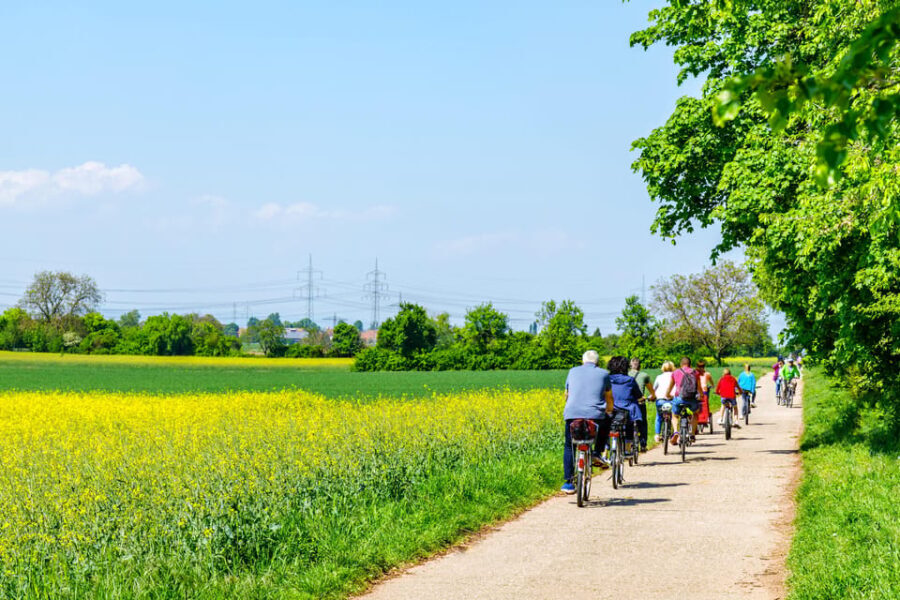 From Amsterdam: Countryside Bike Tour with Cheese Tasting - Practical Tips for Your Day Out