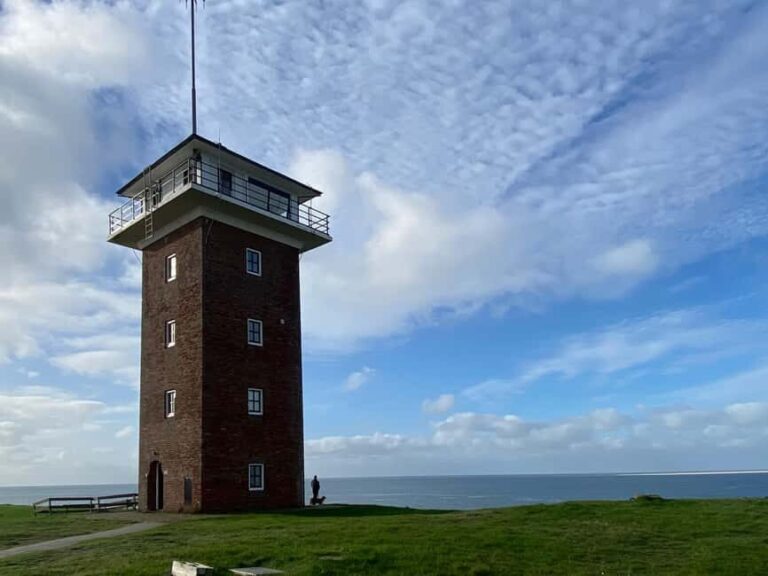 From Amsterdam: Dunes, Submarine & Windmills Guided Day Tour - The Practical Side: How It Works