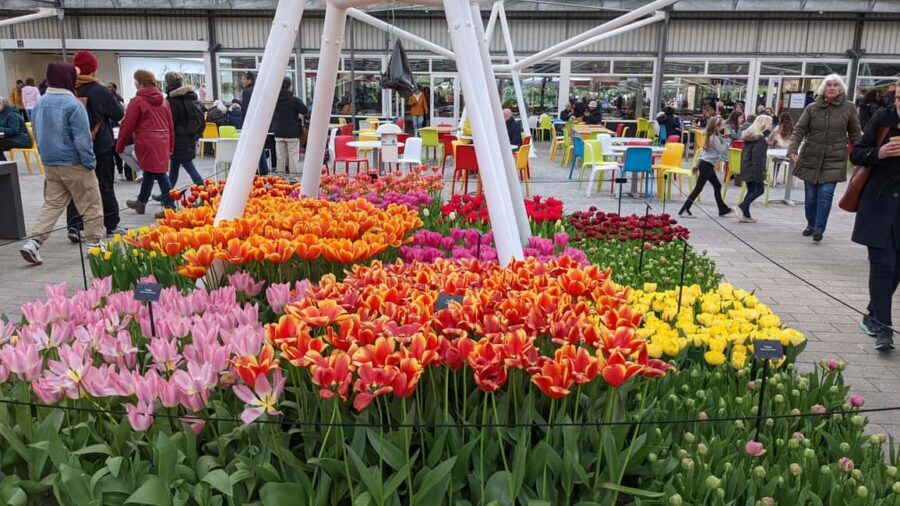 From Amsterdam: Keukenhof and Tulip Experience Tour - In-Depth Look at the Itinerary