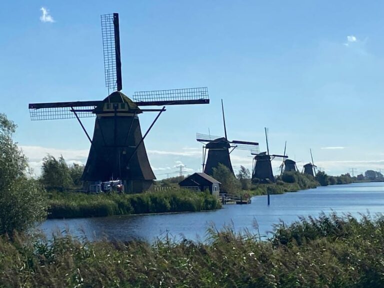 From Amsterdam: Kinderdijk, Delft & Mauritshuis Private Tour - Strolling Through Delft