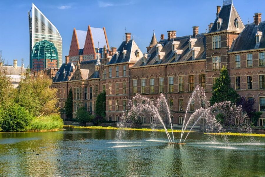 From Amsterdam: Rotterdam and The Hague Tour in Spanish - Guides and Group Dynamics