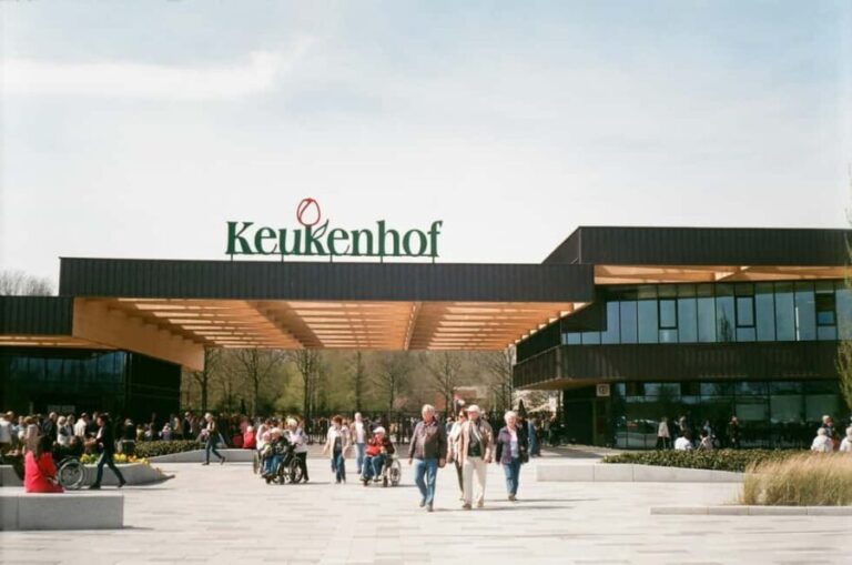 From Amsterdam: VIP Keukenhof Tulip Tour with Private Driver - Transport and Timing: Why It Matters