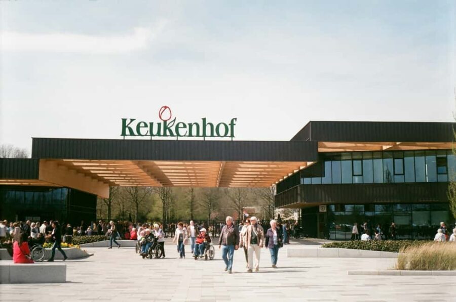 From Amsterdam: VIP Keukenhof Tulip Tour with Private Driver - Transport and Timing: Why It Matters