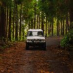 From Angra: Terceira Island Full-Day Jeep Tour - The Itinerary: A Day Packed with Highlights