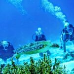 From Antalya| Kemer: Diving Tour with Experienced Instructor - What the Reviews Say