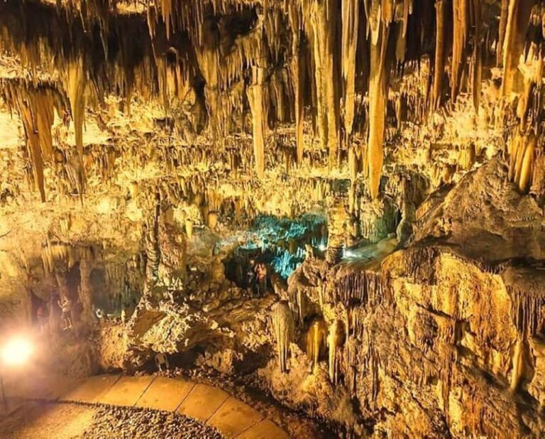 From Argostoli  Highlights of Kefalonia & Local Delights - A Detailed Look at the Tour Experience