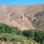 From Arzana: trekking to Punta La Marmora with aperitif - Practical Details: What You Need to Know