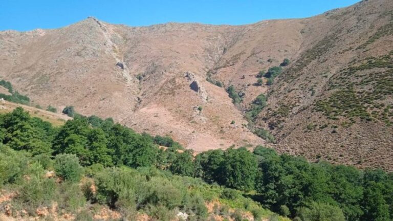 From Arzana: trekking to Punta La Marmora with aperitif - Practical Details: What You Need to Know