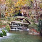 From Athens: Livadia, Thermopylae, and Hot Springs Tour - Practical Details