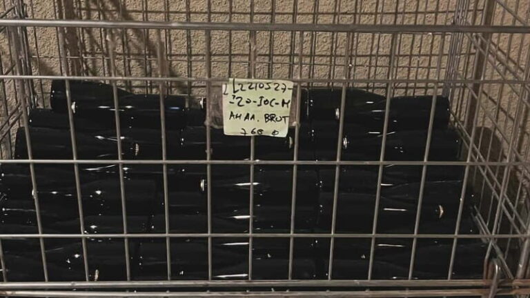 From Athens: Nemea Wine Tour with Corinth Canal Stop - The Experience in Detail