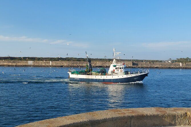 From Aveiro: Costa Nova, Barra, Vista Alegre - Half-Day Trip - Why Travelers Love It