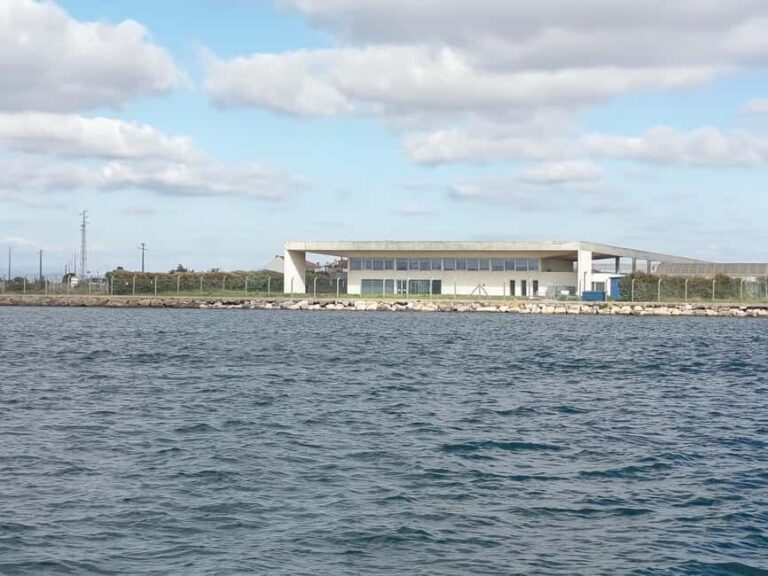 From Aveiro to the Beaches by Boat - The Practical Side: What You Need to Know